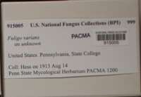 Image Associated With the Occurence
